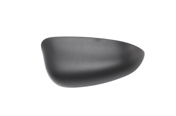 BLIC 6103-23-2001596P Housing, exterior mirror