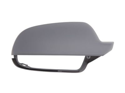 Housing, exterior mirror BLIC 6103-25-048352P