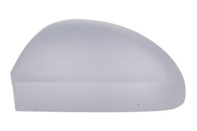 Housing, exterior mirror BLIC 6103-53-2001489P