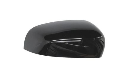 Housing, exterior mirror BLIC 6103-55-2001484P