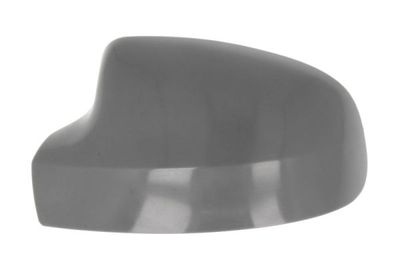 Housing, exterior mirror BLIC 6103-67-2001135P
