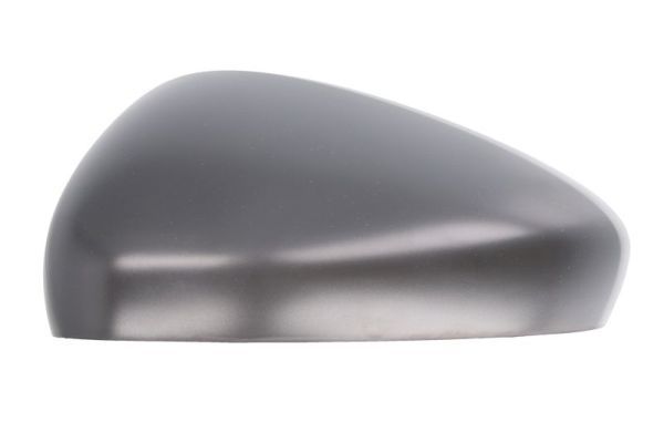 BLIC 6403-01-2103991P Housing, exterior mirror