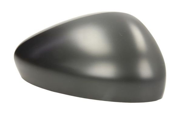 BLIC 6403-01-2103992P Housing, exterior mirror