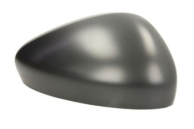 Housing, exterior mirror BLIC 6403-01-2103992P