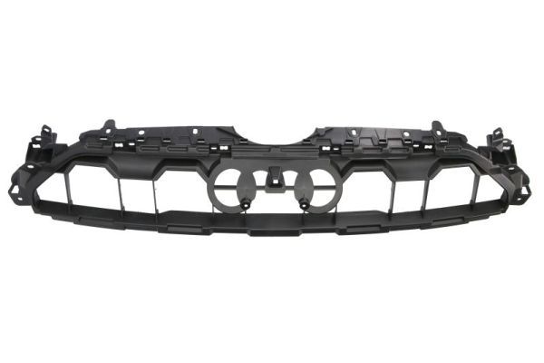 BLIC 6502-07-0038989P Trim/Protection Strip, radiator grille