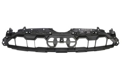 Trim/Protection Strip, radiator grille BLIC 6502-07-0038989P