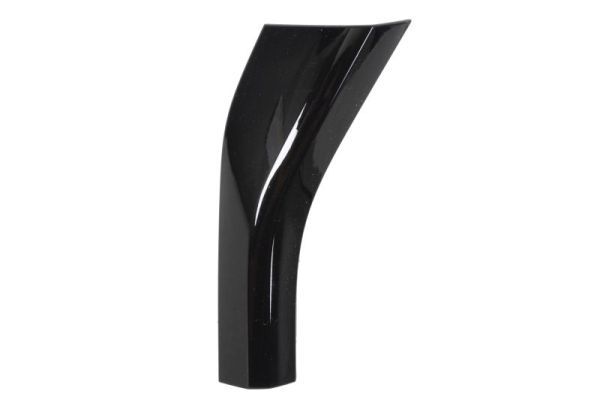 BLIC 6502-07-0048978BP Trim/Protection Strip, bumper