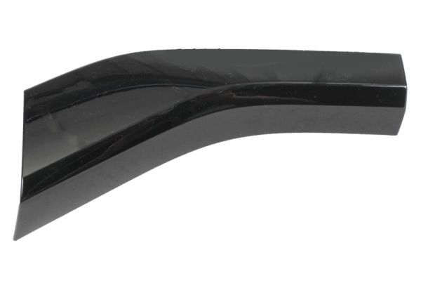 BLIC 6502-07-0048979BP Trim/Protection Strip, bumper