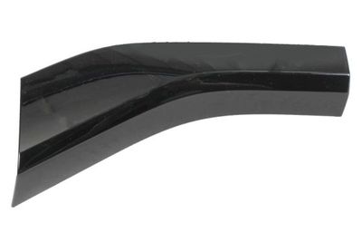 Trim/Protection Strip, bumper BLIC 6502-07-0048979BP