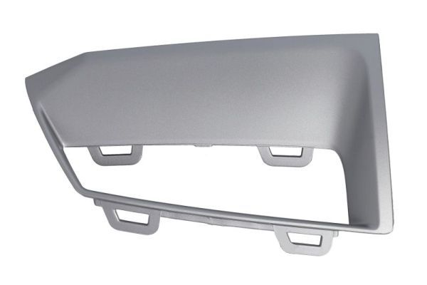 BLIC 6502-07-0052924P Trim/Protection Strip, bumper