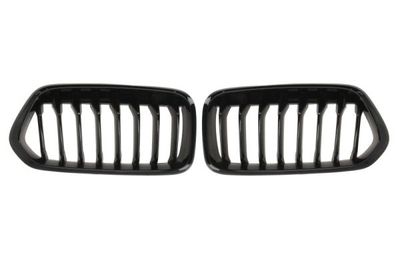 Radiator Grille BLIC 6502-07-0060911P