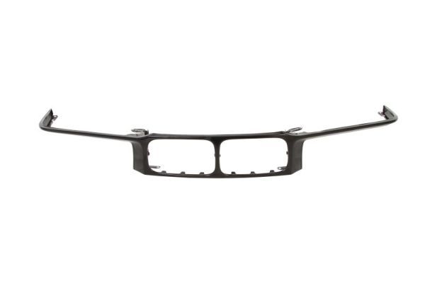 BLIC 6502-07-0060990P Trim/Protection Strip, radiator grille