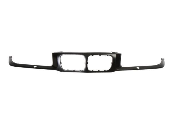 BLIC 6502-07-0060995P Trim/Protection Strip, radiator grille