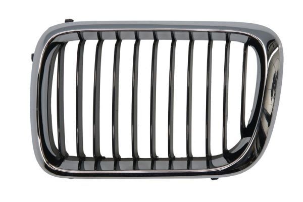 BLIC 6502-07-0060997P Radiator Grille
