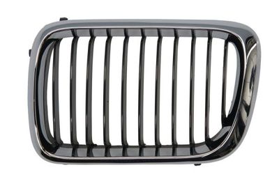 Radiator Grille BLIC 6502-07-0060997P