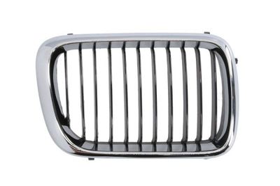 Radiator Grille BLIC 6502-07-0060998P