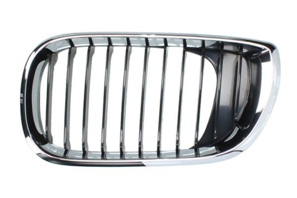 BLIC 6502-07-0061991AP Radiator Grille