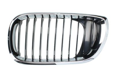 Radiator Grille BLIC 6502-07-0061991AP