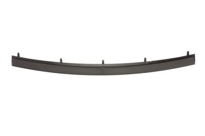 Trim/Protection Strip, bumper BLIC 6502-07-0062923P