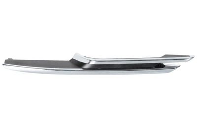 Trim/Protection Strip, bumper BLIC 6502-07-00639913P