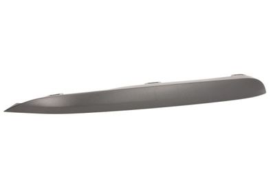Trim/Protection Strip, bumper BLIC 6502-07-00639917P