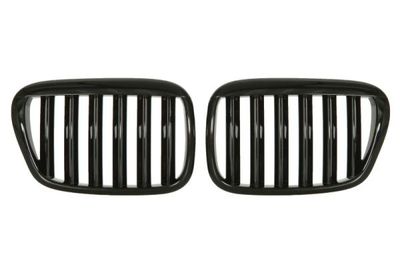 Radiator Grille BLIC 6502-07-00659911KP