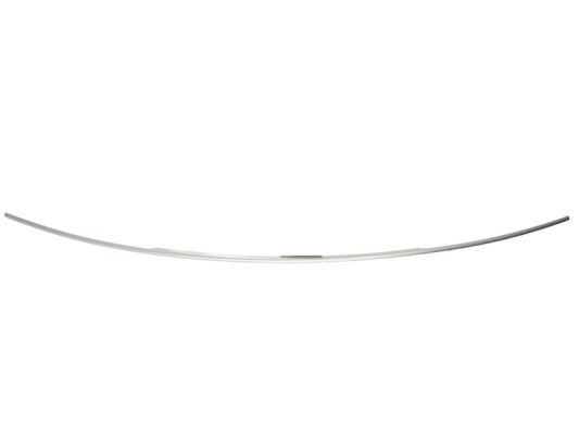 BLIC 6502-07-0066920P Trim/Protection Strip, bumper