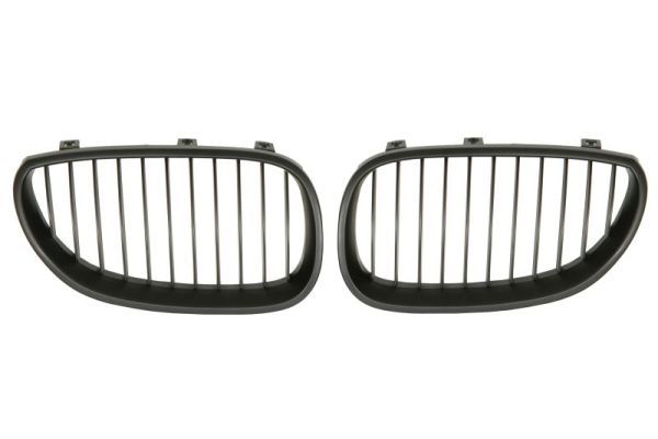 BLIC 6502-07-0066991KP Radiator Grille