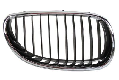 Radiator Grille BLIC 6502-07-0066992P