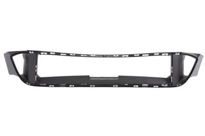 Ventilation Grille, bumper BLIC 6502-07-0067913P