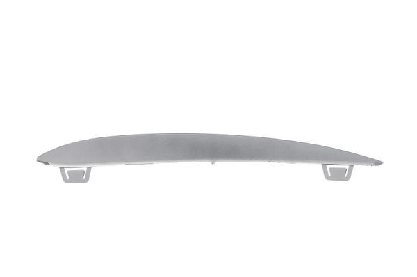 BLIC 6502-07-0067928P Trim/Protection Strip, bumper