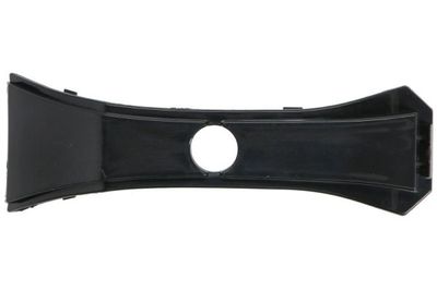 Trim/Protection Strip, radiator grille BLIC 6502-07-0067981P