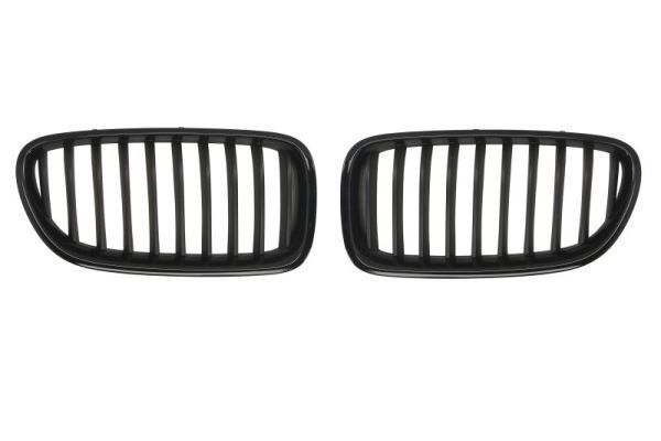 BLIC 6502-07-0067994KP Radiator Grille
