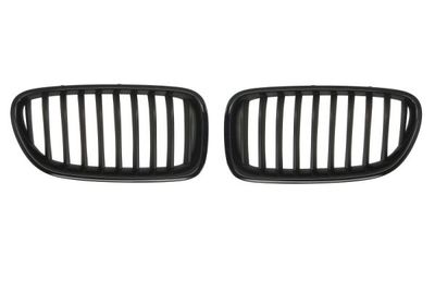 Radiator Grille BLIC 6502-07-0067994KP
