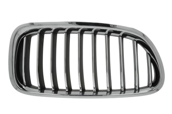 BLIC 6502-07-0067998P Radiator Grille