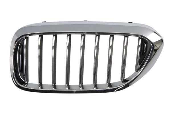 BLIC 6502-07-0068993P Radiator Grille