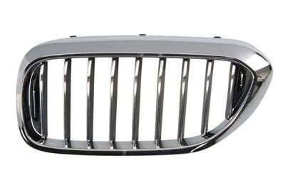 Radiator Grille BLIC 6502-07-0068993P
