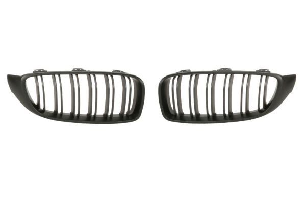 BLIC 6502-07-0070991KP Radiator Grille