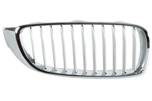 BLIC 6502-07-0070994P Radiator Grille