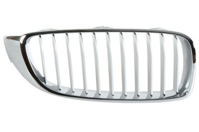 Radiator Grille BLIC 6502-07-0070994P