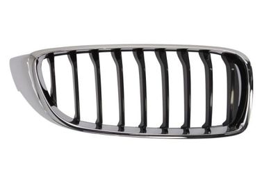 Radiator Grille BLIC 6502-07-0070996P