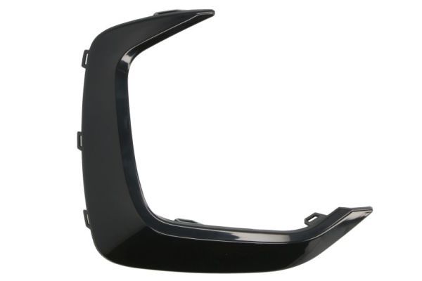 BLIC 6502-07-0071921P Trim/Protection Strip, bumper