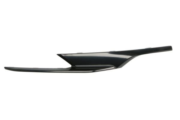 BLIC 6502-07-0071924P Trim/Protection Strip, bumper