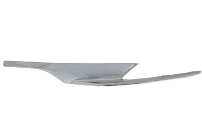 Trim/Protection Strip, bumper BLIC 6502-07-0071927P
