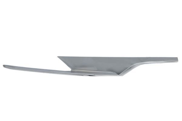 BLIC 6502-07-0071928P Trim/Protection Strip, bumper