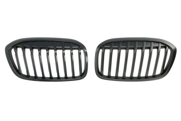 BLIC 6502-07-0071990P Radiator Grille