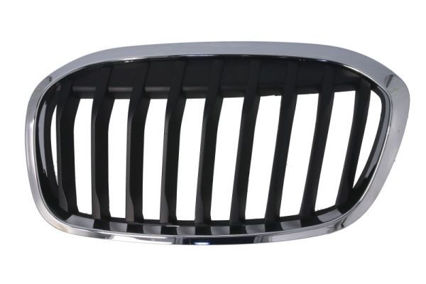 BLIC 6502-07-0071993P Radiator Grille