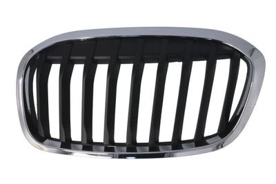 Radiator Grille BLIC 6502-07-0071993P