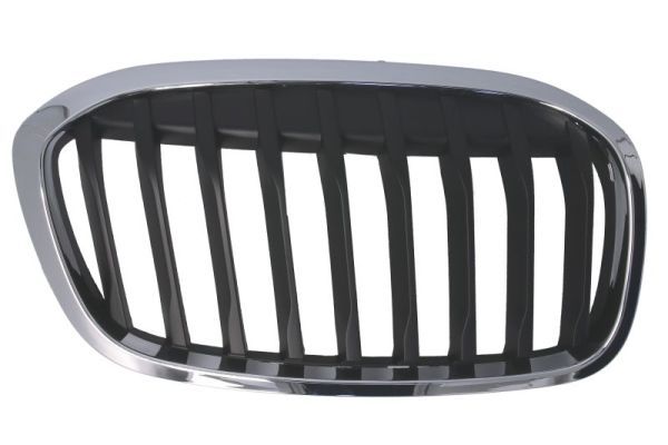 BLIC 6502-07-0071994P Radiator Grille