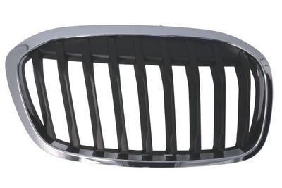 Radiator Grille BLIC 6502-07-0071994P